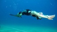 Sualtı sporlarında bayanlarda Türkiye rekortmeni ve Avrupa ikincisi olan Bilge Çingigiray, Ekim’in ilk haftasında İspanya’da yapılacak Avrupa Şampiyonası hazırlıklarını Kuzey Kıbrıs Türk Cumhuriyeti’nde, bir Kıbrıslı Türk uzman dalgıcın nezaretinde yaptı.  Türkiye Sualtı Sporları Federasyonu’nun düzenlediği serbest dalış yarışlarından; sualtında 10 […]