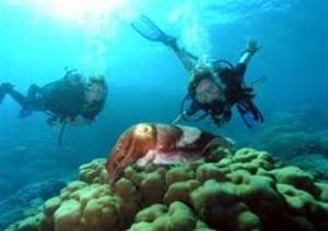 Alınan bilgiye göre, Antalya İl Kültür ve Turizm Müdürlüğü’nün teklifi