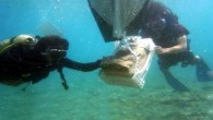Kültür ve Turizm Bakanlığı’nın izniyle, Doğu Akdeniz Üniversitesi ve Selçuk Üniversitesi işbirliğinde yürütülen ‘Antalya Kıyıları Antik Limanlar ve Demirleme Yerleri’ çalışması kapsamında tarihi hazineler ortaya çıkarıldı. Çalışma kapsamında, Konyaaltı İlçesi sınırlarındaki Topçam Halk Plajı ile Sıçan Adası arasında kıyıya çok […]