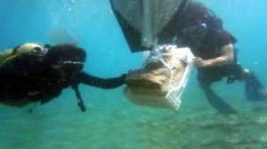 Kültür ve Turizm Bakanlığı’nın izniyle, Doğu Akdeniz Üniversitesi ve Selçuk
