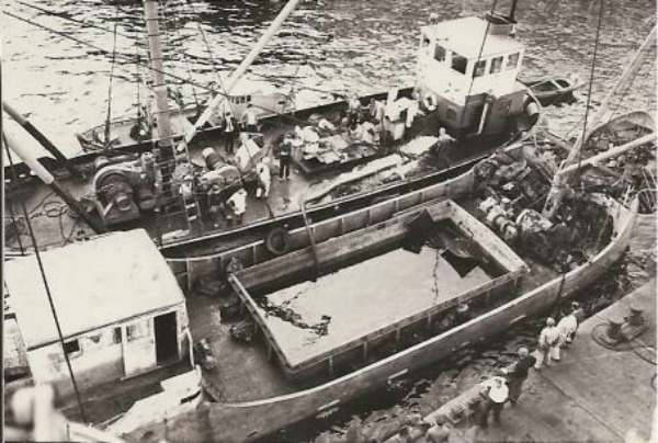 1957 yılında T.C. Devleti Adnan Menderes hükümetinin özel müsaadesi ile