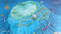 Shark’s Bay hareketli bir Tiran günü. Amacımız Hammerheads görmek, ilk dalış Jackson outside. Mutsuz son, biz sadece dipsiz bir mavide dalış yaptık ve hiçbir şey göremedik. Dalışı bitirmek için resif’e döndüğümüzde bir tane Green Sea Turtle gördük. İkinci dalışta kamerayı […]