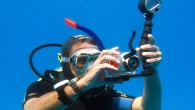 Jackson Outside dalışından sonra, dalışları ballandıra ballandıra anlatmak oldukça zor. Yine bir Ras Mohamed günü, Sean izinli ve beraber fotoğraf dalışı yapmaya gidiyoruz. Shark Reef’e yaklaşmamızla beraber, dalgalı bir deniz bizi karşılıyor. Bu şu anlama geliyor, dalış sonrası tekneye geri […]