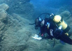 Alanya Belediyesi’nin desteğinde, Doğu Akdeniz Üniversitesi Sualtı Görüntüleme ve Araştırma