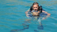 Antalya kıyılarında sualtı araştırmaları yapan bilim adamları da amatör ve profesyonel dalış sevdalıları da denizin altına hak ettiği ilginin gösterilmediğinden yakınıyor. Oysa dalış turizmi dünya üzerinde hayli ilgi çeken bir destinasyon. 640 kilometreyi bulan sahil boyunca yerleşim yerlerinin tamamında arıtma […]