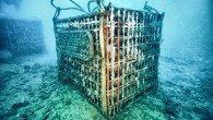 BRILLIANT ideas sometimes arise out of pure necessity. Consider Piero Lugano, 63, the suntanned artist-turned-wine-merchant who opened a shop called Bisson in this town on the Italian Riviera in 1978. Not content merely to sell wine, he soon began making […]