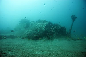 SILVER SPRING, Maryland — NOAA’s Office of National Marine Sanctuaries’
