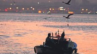 Balıkların üreme dönemine girmesi ve göç yollarının açık bırakılması amacıyla 15 Nisan’da başlayan av yasağı, 1 Eylül’ün ilk saatleri itibariyle sona erdi. Günler öncesinden hazırlıklarını yapan çok sayıda balıkçı, yasağın kaldırıldığı ilk saatlerden itibaren İstanbul’un çeşitli yerlerindeki barınaklardan teknelerle denize […]