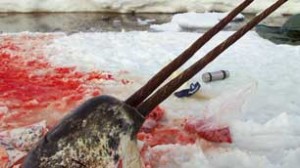 Ottawa wants to resolve a simmering dispute with Nunavut communities