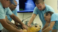(CNN) — She was named Sara, after the daughter of the man who found her, and she got to go home Wednesday. For her, home is the waters of the Florida Keys, a place no one expected she’d ever return […]