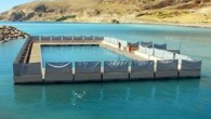 Adilcevaz Kaymakamı Ahmet Dilsiz, yaptığı açıklamada, yüzen havuzun göldeki turizm faaliyetleri açısından büyük önem taşıdığını ve bölgenin ilk örnek projesi olduğunu söyledi. Van Gölü’nün temiz ve şifalı sularında yaptıkları yüzen havuzun, yarı olimpik standartlarda inşa edildiğini ifade eden Dilsiz, şöyle […]