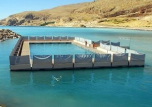 Adilcevaz Kaymakamı Ahmet Dilsiz, yaptığı açıklamada, yüzen havuzun göldeki turizm