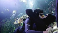 Italian free divers Mike Maric (R) and Ilaria Bonin kiss in an attempt to set the world record for the longest underwater kiss, in an oceanic tank at the Gardaland Sea Life Aquarium in Castelnuovo del Garda, northern Italy July […]