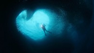 We’re used to seeing them tightly packed in tins on our supermarket shelves, but even in nature it seems that sardines stick close together. These amazing pictures show shoals of the fish packed so dense off the coast of the […]