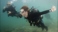 GIBSONBURG, Ohio — Slicing his cupped hands through the chilly water to propel himself forward, John Harris made his way to the submerged platforms at Whitestar Quarry. He checked the depth on his gauges, flooded his mask and cleared out […]