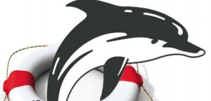 DEĞERLİ SUALTICILAR, Geçen yıl, SUALTI Gazetesi ve HAYTAP önderliğinde düzenlenen,