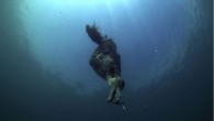 Fishing boats ‘killing up to 320,000 seabirds a year’ : A dead seabird is hooked on a a fishing line A dead albatross hooked on a fishing line. Photograph: HO/AFP/Getty Images Up to 320,000 seabirds a year are being killed […]