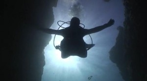 Sevgili Sualti Dostlari, 14. Altin Palet Turkiye Sampiyonasinda video dalinda