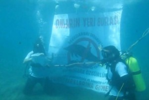 BASIN BİLDİRİSİ YUNUS PARKLARI KAPATILMALIDIR… Geçen yıl Yunuslara Özgürlük Platformu
