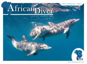 Open publication – Free publishing – More diver
