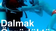 3 Aralik Dunya Engelliler Gunu engelli kardeslerimizin, herkesin esit oldugu sualti dunyasiyla tanismalarina vesile olunabilecek en anlamli gun belkide. USAT olarak boyle etkinliklere her zaman destek verdik, verecegizde. Sosyal sorumluluk bilincinin tam oturmadigi ulkemizde, yaptigimiz ortak sporun bize kattigi ozgurluk […]