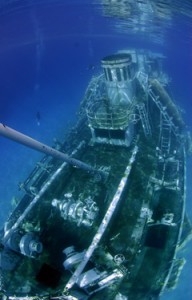 Strong waves resulting from Hurricane Rina have shifted the Kittiwake