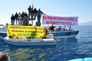 Uluslararası Atlantik Orkinoslarını Koruma Komisyonu toplantısı bu yıl 9-19 Kasım