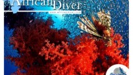 Open publication – Free publishing – More african