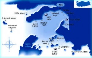 28.06.2011 tarih ve 1858 sayılı “Yüzme Alanları ve Dalış Alanlarıyla