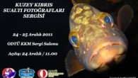 Kuzey Kıbrıs’ta Çekilmiş Sualtı Fotoğrafları, Ankara’da Orta Doğu Teknik Üniversitesi(Odtü)Kültür Kongre Merkezi Sergi Salonu’nda 24 Aralık’ta Açılacak Sergide İzlenime Sunuluyor.ODTÜ Kuzey Kıbrıs Kampusu Sualtı Topluluğu ile Nautilus Dalış Okulu Yöneticisi Tevfik Camgöz’ün fotoğraflarının yer alacağı sergi, saat 11.00’de açılacak. Sergi […]