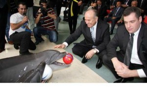 İstanbul Büyükşehir Belediyesi’nin “Var olmak Haktır, Hayvan Sevgisi ve Hayvan