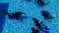 Değerli Sörvey katılımcısı, bu çalışma, bireylerin Tüplü Dalış sporunun tüketimine yönelik tutum ve düşünceleri ile ilgili bilimsel amaçlı bir sörveydir. Bu envanterden toplanacak veriler tamamen bilimsel amaçla kullanılacaktır. Bu amaçla vereceğiniz cevapların doğruluğu araştırmanın tarafsızlığı ve bilimselliği için çok önemlidir. […]