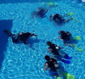 Değerli Sörvey katılımcısı, bu çalışma, bireylerin Tüplü Dalış sporunun tüketimine