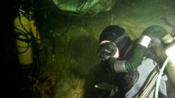 A group of Australian divers has broken yet another cave diving record in the depths of the Pearse River resurgence and revealed the underwater cave system is linked to Mt Arthur’s Nettlebed Cave system. The group returned from the remote […]