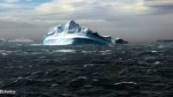 That’s our treasure and we need to care of it! Daniel Botelho