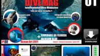Open publication – Free publishing