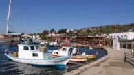 Muğla’nın Bodrum İlçesi’ne bağlı Gümüşlük Beldesi’nde üç hafta önce başlatılan kurtarma kazılarında gün ışığına çıkartılan 13 kaya mezarın Helenistik dönemde Myndos Kenti’nde yaşayan soylu bir aileye ait olduğu belirlendi. Kazılarda elde edilen ve aralarında bakır bir aynanın da bulunduğu 100’e […]