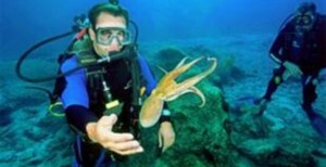 Sevgili sualti turizmi profesyonelleri: Söz konusu çalıştayın, gündemi önerildiği şekilde