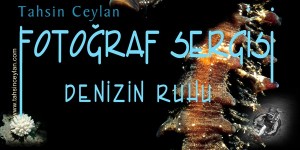 “DENİZİN RUHU” NEOMARİN’DE SANATSEVER ÇOCUKLARLA BULUŞUYOR Tahsin Ceylan’ın Türkiye ve