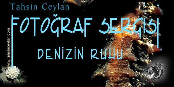 “DENİZİN RUHU” NEOMARİN’DE SANATSEVER ÇOCUKLARLA BULUŞUYOR Tahsin Ceylan’ın Türkiye ve