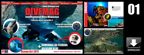 Open publication – Free publishing – More dive
