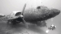 Dünyanın en prestijli sualtı fotoğrafçılarının yarıştığı şampiyonaya Türkiye’den katılan 4 fotoğrafçı büyük başarılar elde etti. www.underwaterphotography.com tarafından düzenlenen yarışmaya diğer ülkelerden katılanların büyük çoğunluğunun mesleği sualtı fotoğrafçılığı olmasına rağmen bu sanatla hobi amaçlı ilgilenen bankacı Alp Baranok, mali müşavir Ahmet […]