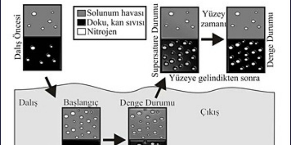 Yüksek basınç altında atmosferik karışımın solunumu, kandaki gaz tansiyonunu artırır.