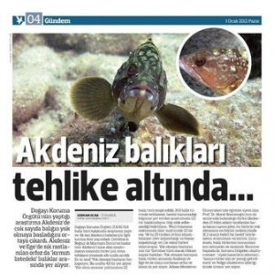 Kendiside bir sualtıcı olan Radikal Gazetesi Muhabiri Sevgili Serkan Ocak’ın