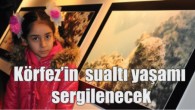 Büyükşehir Belediyesi ve İSU Genel Müdürlüğü tarafından Dünya Su Günü nedeniyle Körfez’de yaşayan deniz canlılarının sergisi açıldı. Körfez’de belediye ve ISU tarafından yapılan artıma çalışmalarının ardından canlı sayısında artış olmuştu. Su altı dalışları ile yapılan incelemelerde Körfez’de yaşayan canlıların türleri […]