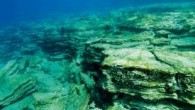Uluslararası kuruluşların Akdeniz’de ortaklaşa yürüttüğü araştırmada üçyıl boyunca İspanya, Fransa, İtalya, Yunanistan ve Türkiye’de sayısızdalış gerçekleştirildi. Bu kapsamda 14 deniz koruma alanı (yönetim planıolan ve aktif olarak koruma yapılan) ve 18 korumasız alanda balıksayımı yapıldı. Deniz tabanında yaşayan bitki ve […]