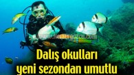 Sualtı zenginlikleri ve akvaryumu andıran görüntüsüyle dalış tutkunlarının tercih yeri olan Kemer, her yaz olduğu gibi bu sezonda da yine çok sayıda dalışa ev sahipliği yapmaya hazırlanıyor. Yılda 150 bin dalışın gerçekleştirildiği Kemer’de yaklaşık 35 dalış okulu hizmet veriyor. Turizm […]