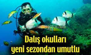 Sualtı zenginlikleri ve akvaryumu andıran görüntüsüyle dalış tutkunlarının tercih yeri