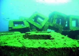 Ünye’de Dalış Turizmini Geliştirme ve Su Altı Zenginliklerini Koruma Projesi’nde