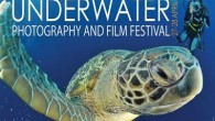 Doğu Akdeniz Üniversitesi (DAÜ) 8. Sualtı Film Festivali 27 Nisan 2012 Cuma günü başlıyor. Dünyanın 12 ülkesinden 15 sualtı filmi ve belgeseli saat 13:00’ten itibaren DAÜ Kütüphanesi Oditoryumu’nda izleyiciyle buluşacak. DAÜ Sualtı Araştırma ve Görüntüleme Merkezi Başkanı Dr. Burak Ali […]